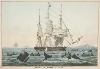 South Sea Whale Fishery