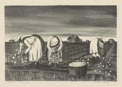 Southern Cottonpickers