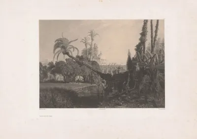 Souvenir De La Basse Egypte