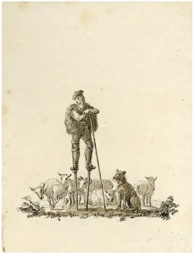 Spaanse Herder Met Schapen