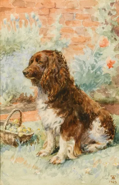 Spaniel In The Garden