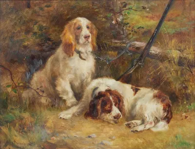 Spaniels At Rest On The Days Shoot