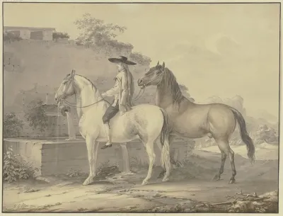 Spanish Horses