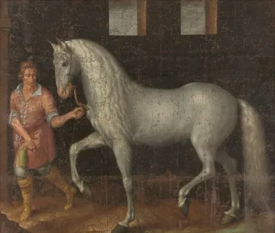 Spanish Warhorse