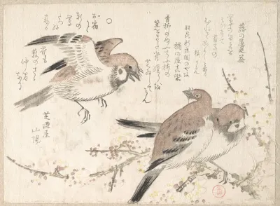 Sparrows And Plum Blossoms