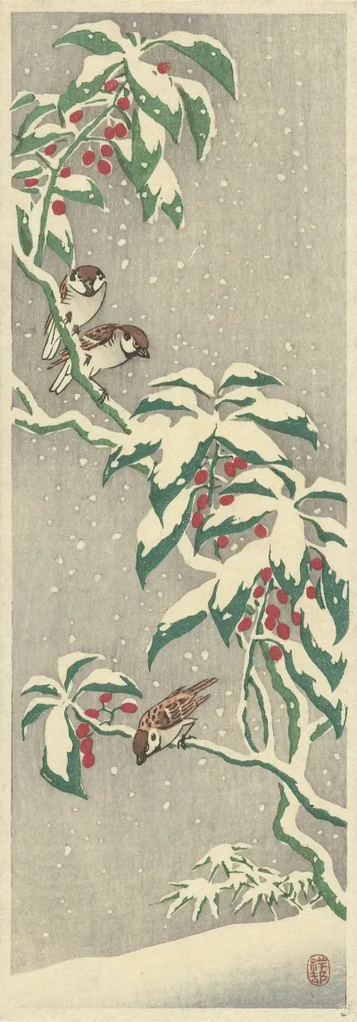 Sparrows On Snowy Currant Bush
