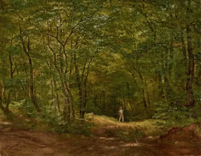 Spazierganger In Einer Waldlandschaft