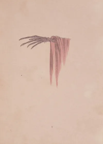 Spectropia Or Surprising Spectral Illusions Showing Ghosts Everywhere And Of Any Colour Pl 09