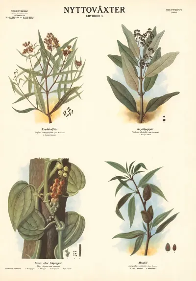 Spices 3