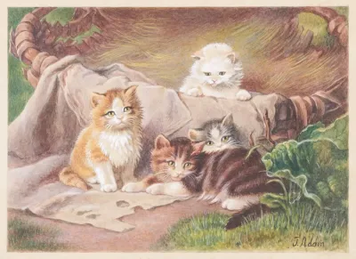 Spielende Katzen