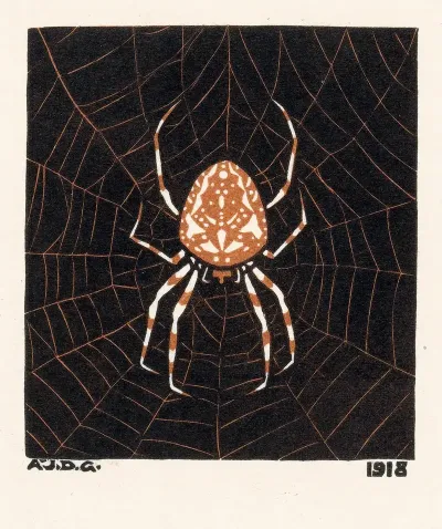 Spin In Een Web