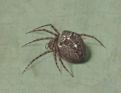 Spin