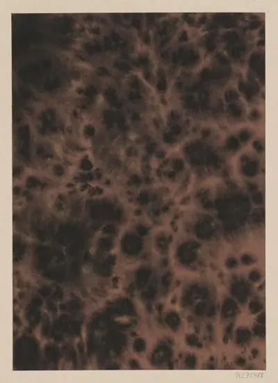 Sprenkelpapier 16
