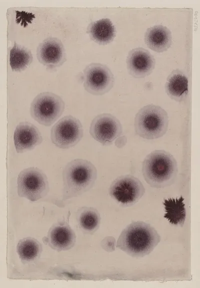 Sprenkelpapier Mit Sonnenmarmormotiven 2