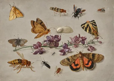 Sprig Of Larkspur With Butterflies Moths And A Wasp