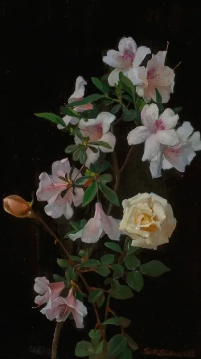 Spring Blossoms