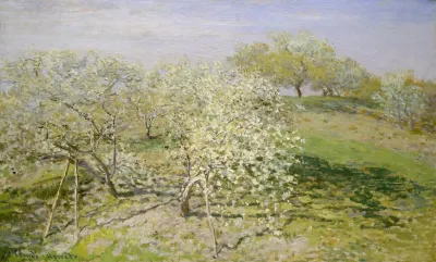 Spring Fruit Trees In Bloom