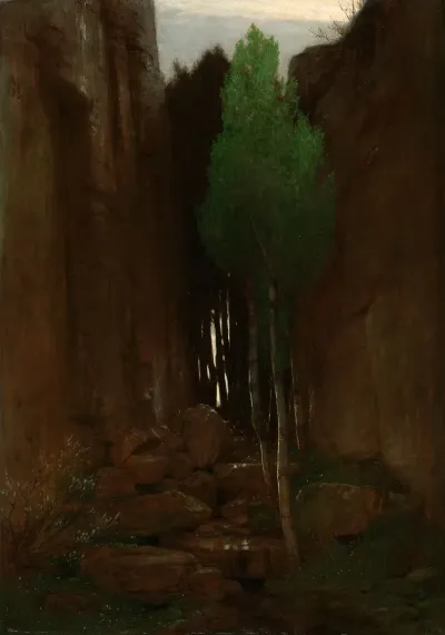 Spring In A Narrow Gorge Quell In Einer Felsschluct