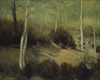 Spring In The Forest Of Fontainebleau