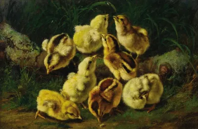 Spring Pets