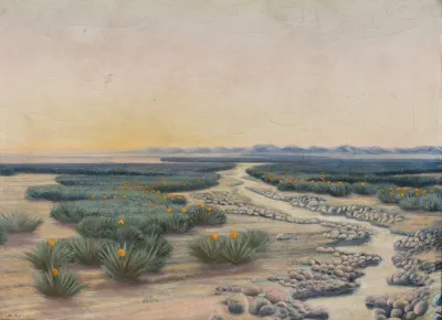 Springtime In The Sahara Desert