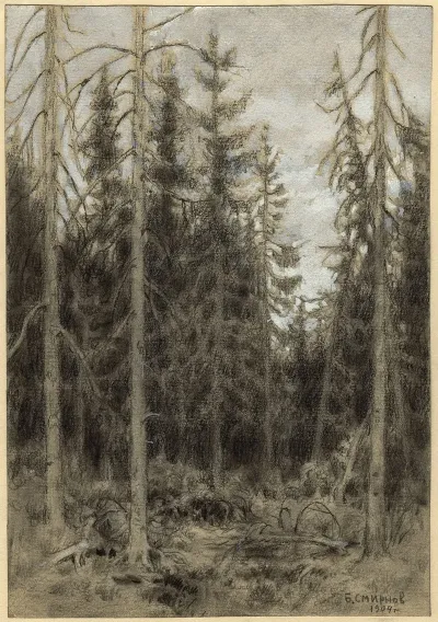 Spruce Taiga Near Irkutsk