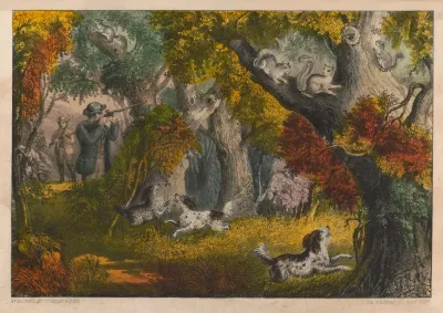 Squirrel Shooting