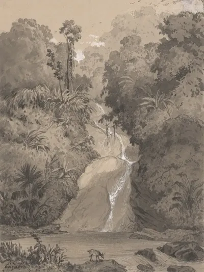 St Anns Waterfall