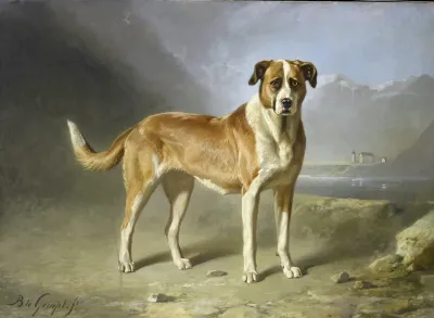 St Bernard Dog