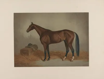 St Julien The King Of The Trotting Turf