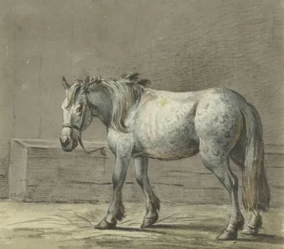 Staand Paard In Een Stal Naar Links