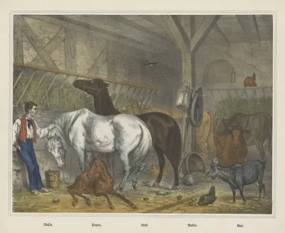 Stable 4