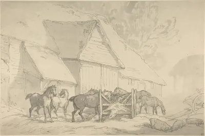 Stable Yard With Horses