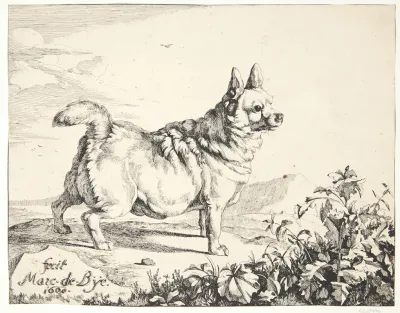 Staende Hund Gadekryds