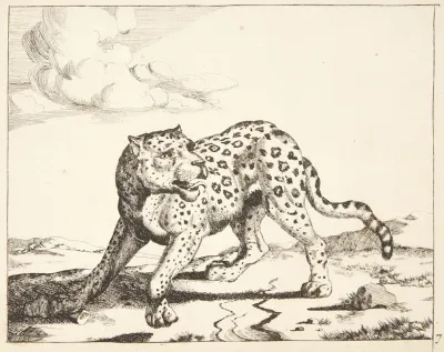 Staende Leopard
