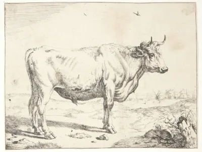Staende Stud 3