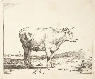 Staende Stud Mod Hojre