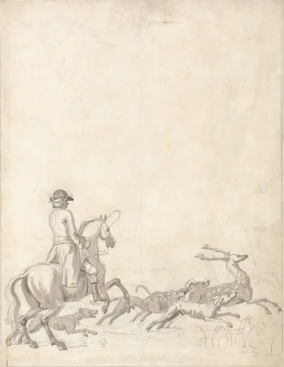 Stag Hunting Rider With Hounds About To Bring The Stag Down