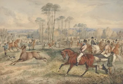 Stag Hunting The Meet A Hind Released From A Van