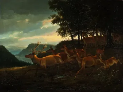 Stag In A Wood