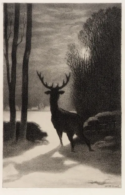 Stag In The Moonlight