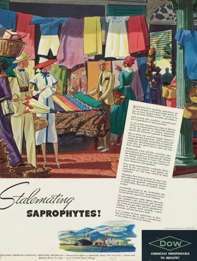 Stalemating Saprophytes