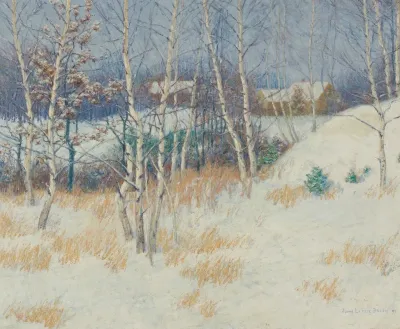Stand Of Birch Trees In Winter