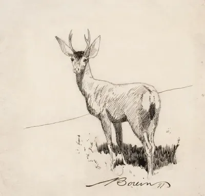 Standing Buck
