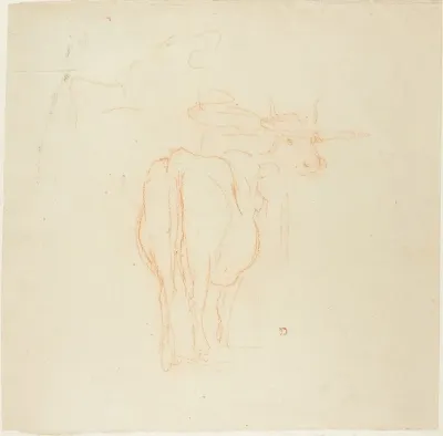 Standing Cattle