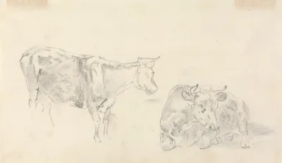 Standing Cow Facing Right And A Cow Lying Down