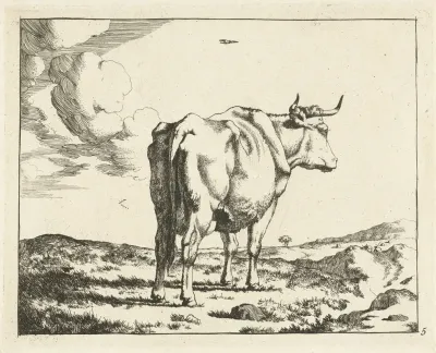 Standing Cow Seen From Behind