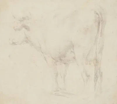 Standing Cow To The Left