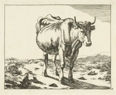 Standing Cow