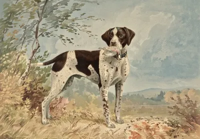 Standing English Pointer Facing Right Bird In Mouth